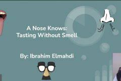 Screen-Shot-2021-04-06-at-3.26.55-PM-Ibrahim-Elmahdi