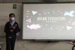 Avian-Evolution