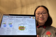 Effect-of-Design-Parameters-and-Procedures-on-Obstacles-in-CAR-T-Cell-Therapy