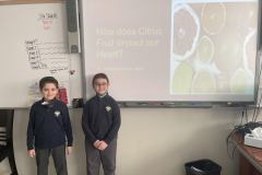 How-does-Citrus-Fruit-Impact-our-Heart