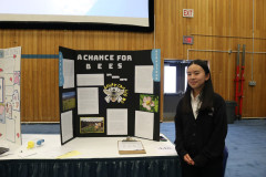 446-a-chance-for-bees-Large