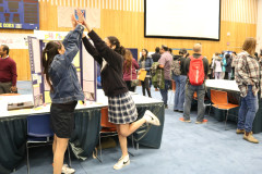 IMG_0538-Large