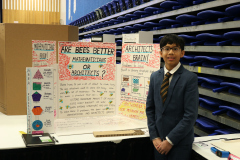 100-Are-bees-mathematicians-or-architects_