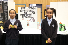 113-The-hidden-mysteries-of-dinosaur-fossils