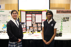 404-SaltE-Electricity