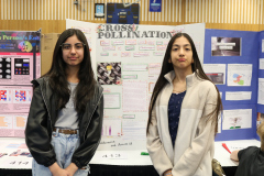 413-Cross-pollination_-A-genetic-recreation