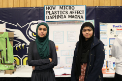 431-How-microplastics-effect-daphina-magna